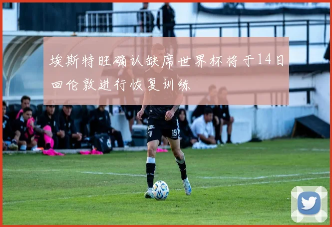 埃斯特旺确认缺席世界杯将于14日回伦敦进行恢复训练