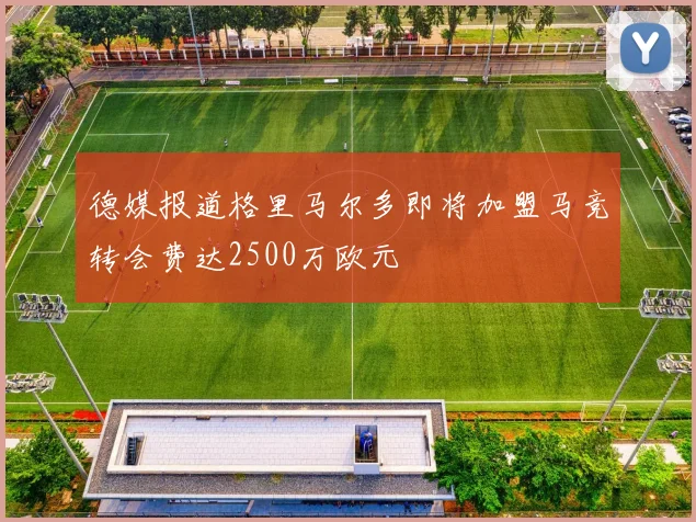 德媒报道格里马尔多即将加盟马竞转会费达2500万欧元
